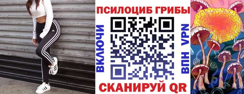 Галлюциногенные грибы GOLDEN TEACHER  купить  сайты  Ханты-Мансийск 